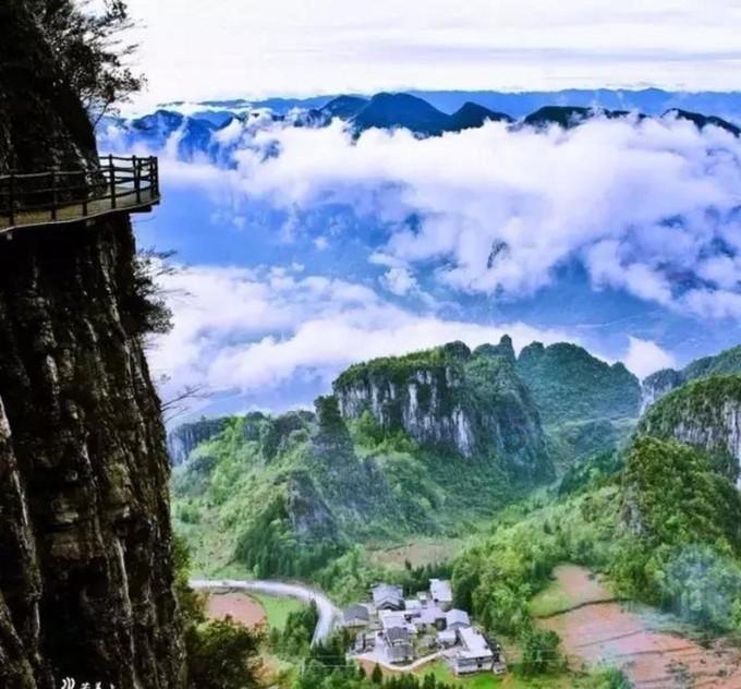 救援受困的长颈鹿